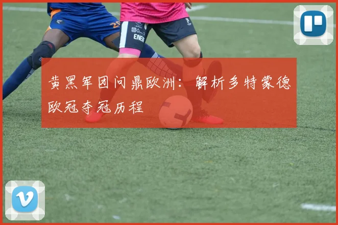 黄黑军团问鼎欧洲：解析多特蒙德欧冠夺冠历程